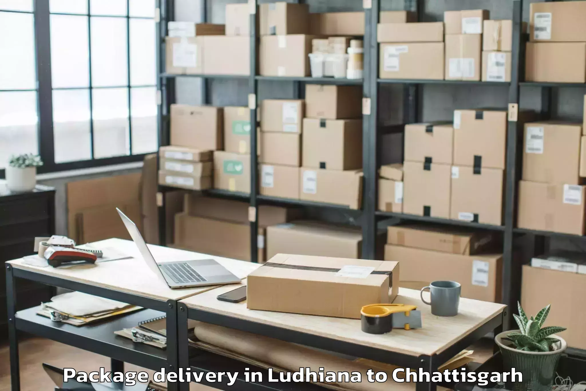 Quality Ludhiana to Raipur Airport Rpr Package Delivery